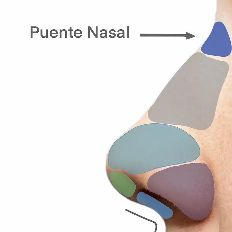 puente nasal